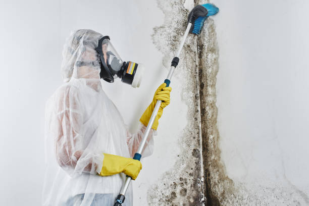 Best Residential Mold Removal  in Fultonde, AL