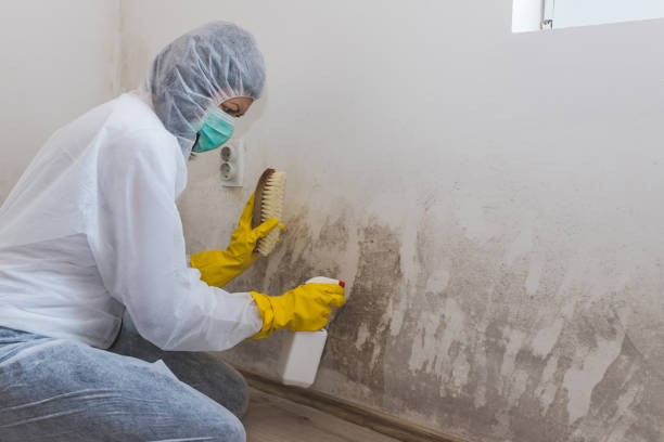 Best Crawl Space Mold Removal  in Fultonde, AL